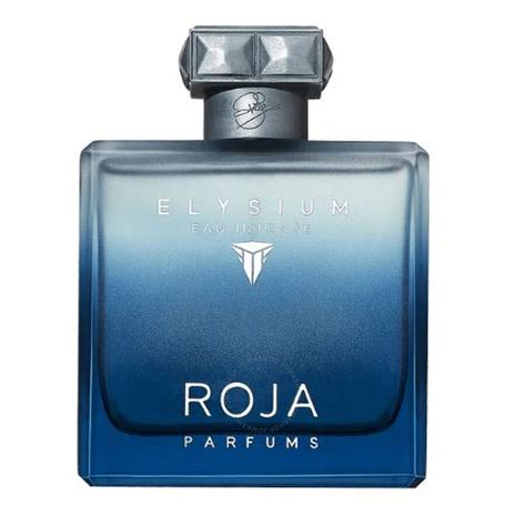 best roja parfums for him|roja elysium jomashop.